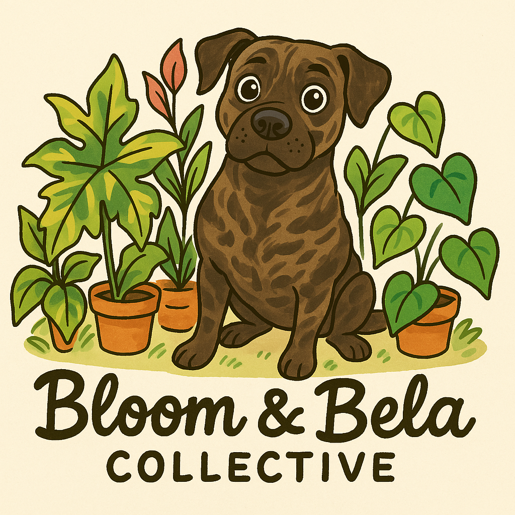 Bloom & Bela Collective logo
